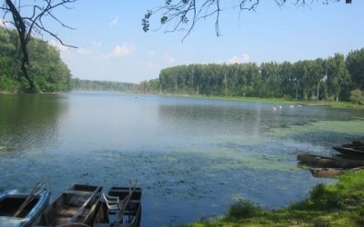 Ismerd meg tavainkat: a Tisza-tó látnivalói, élővilága és rövid története