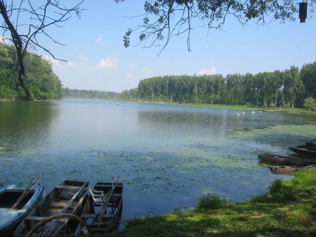 Ismerd meg tavainkat: a Tisza-tó látnivalói, élővilága és rövid története
